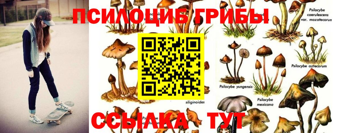 Галлюциногенные грибы прущие грибы  Вход с VPN  Павловский Посад  Галлюциногенные грибы ЛСД 